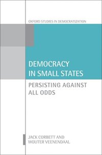 bokomslag Democracy in Small States