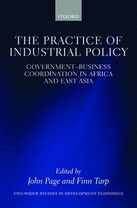 bokomslag The Practice of Industrial Policy