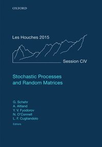 bokomslag Stochastic Processes and Random Matrices