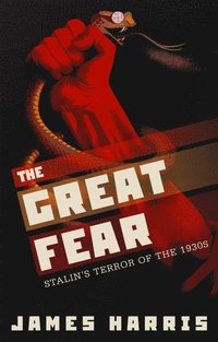bokomslag The Great Fear