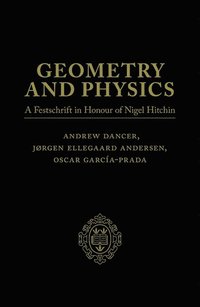 bokomslag Geometry and Physics: Volume I