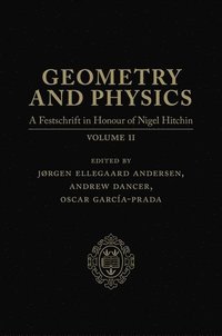 bokomslag Geometry and Physics: Volume 2