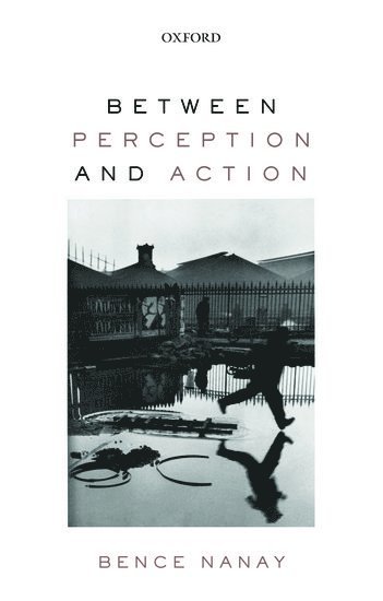 Between Perception and Action