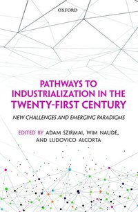 bokomslag Pathways to Industrialization in the Twenty-First Century