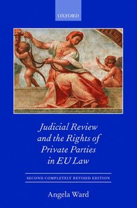 bokomslag Judicial Review and the Rights of Private Parties in EU Law