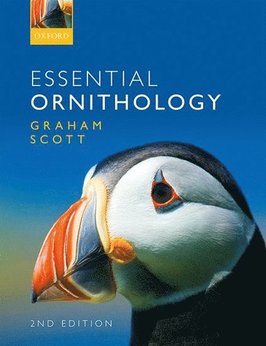 bokomslag Essential Ornithology