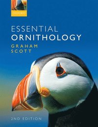 bokomslag Essential Ornithology
