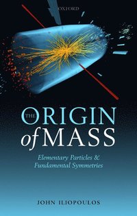 bokomslag The Origin of Mass