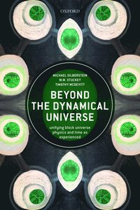 bokomslag Beyond the Dynamical Universe