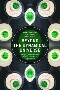 bokomslag Beyond the Dynamical Universe