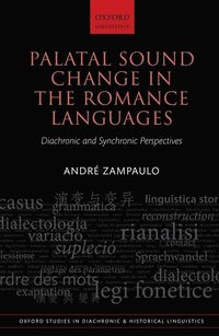 bokomslag Palatal Sound Change in the Romance Languages