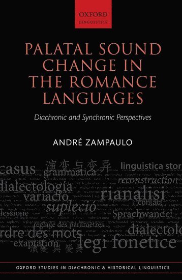 bokomslag Palatal Sound Change in the Romance Languages