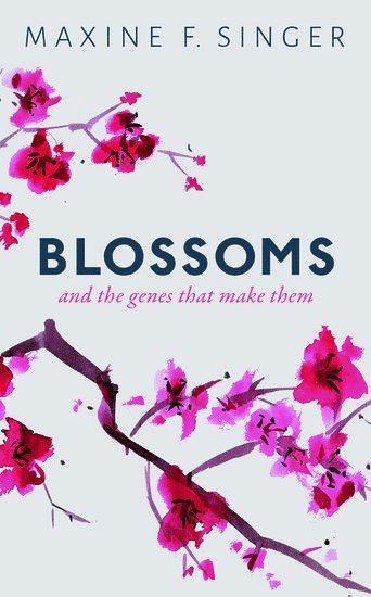 Blossoms 1