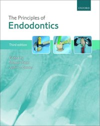 bokomslag The Principles of Endodontics