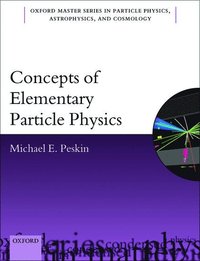 bokomslag Concepts of Elementary Particle Physics