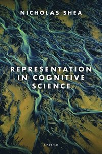 bokomslag Representation in Cognitive Science