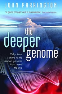 bokomslag The Deeper Genome