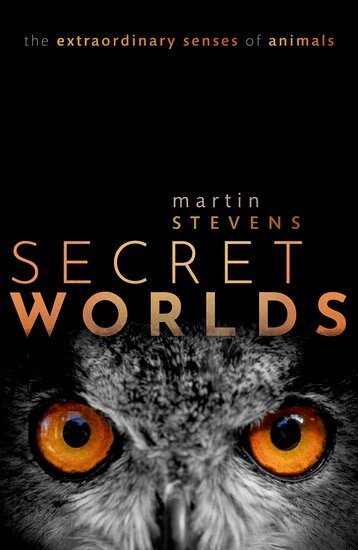 Martin Stevens - Secret Worlds, Inbunden