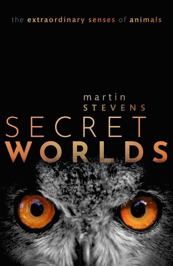 Secret Worlds 1