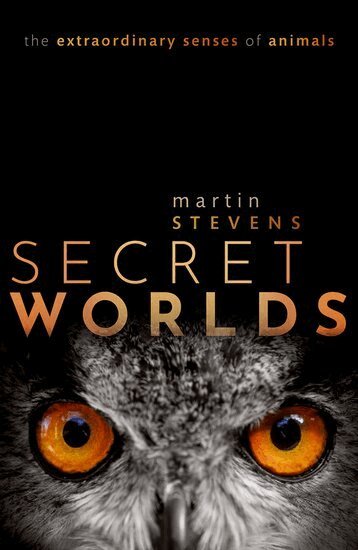 Martin Stevens - Secret Worlds, Häftad