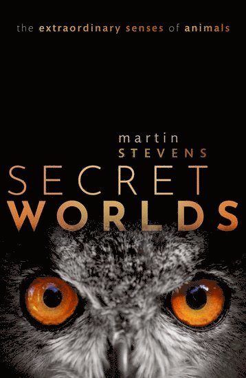 Secret Worlds 1