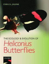 bokomslag The Ecology and Evolution of Heliconius Butterflies