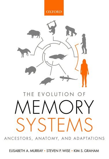 Elisabeth A. Murray, Steven P. Wise, Kim S. Graham - The Evolution of Memory Systems, Häftad