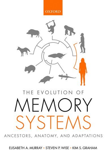 bokomslag The Evolution of Memory Systems