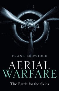 bokomslag Aerial Warfare