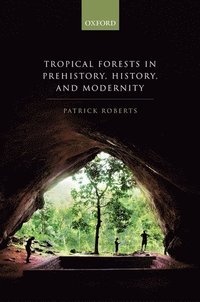 bokomslag Tropical Forests in Prehistory, History, and Modernity