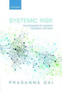 bokomslag Systemic Risk