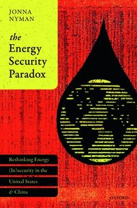 bokomslag The Energy Security Paradox