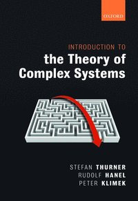 bokomslag Introduction to the Theory of Complex Systems