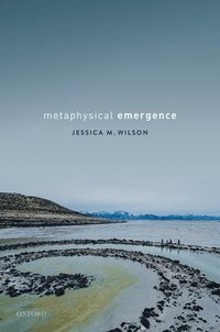 bokomslag Metaphysical Emergence