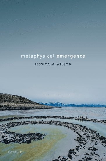 bokomslag Metaphysical Emergence