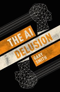 bokomslag The AI Delusion