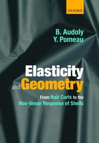 bokomslag Elasticity and Geometry