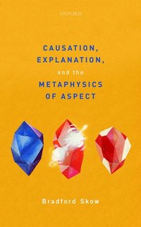 bokomslag Causation, Explanation, and the Metaphysics of Aspect