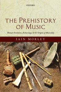 bokomslag The Prehistory of Music