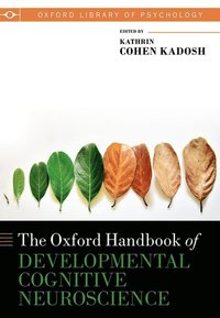 bokomslag Oxford Handbook of Developmental Cognitive Neuroscience