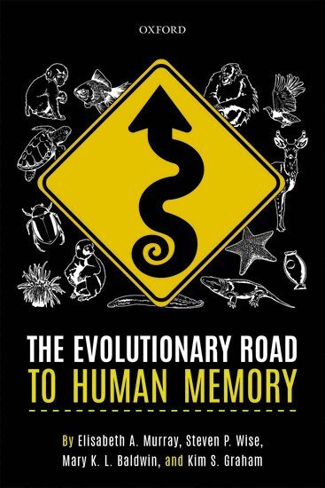 Elisabeth A. Murray, Steven P. Wise, Mary K. L. Baldwin, Kim S. Graham - The Evolutionary Road to Human Memory, Häftad