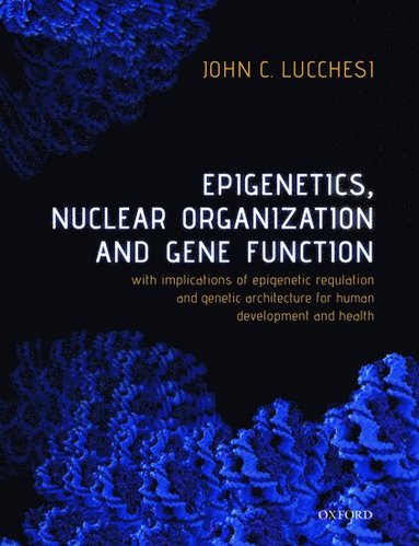 bokomslag Epigenetics, Nuclear Organization & Gene Function