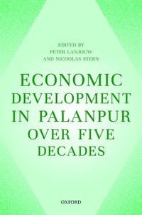 bokomslag Economic Development in Palanpur over Five Decades