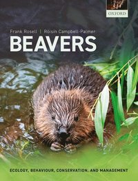 bokomslag Beavers