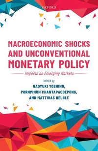 bokomslag Macroeconomic Shocks and Unconventional Monetary Policy