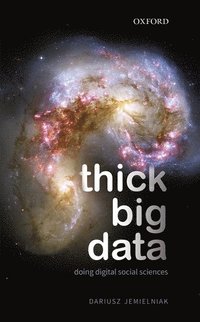 bokomslag Thick Big Data