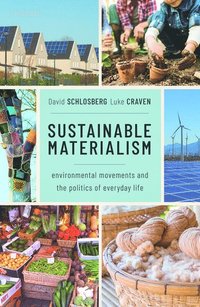 bokomslag Sustainable Materialism