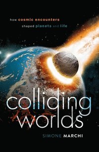 bokomslag Colliding Worlds