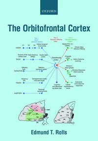 bokomslag The Orbitofrontal Cortex