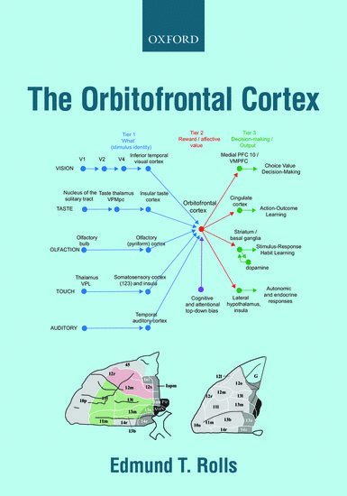 The Orbitofrontal Cortex 1